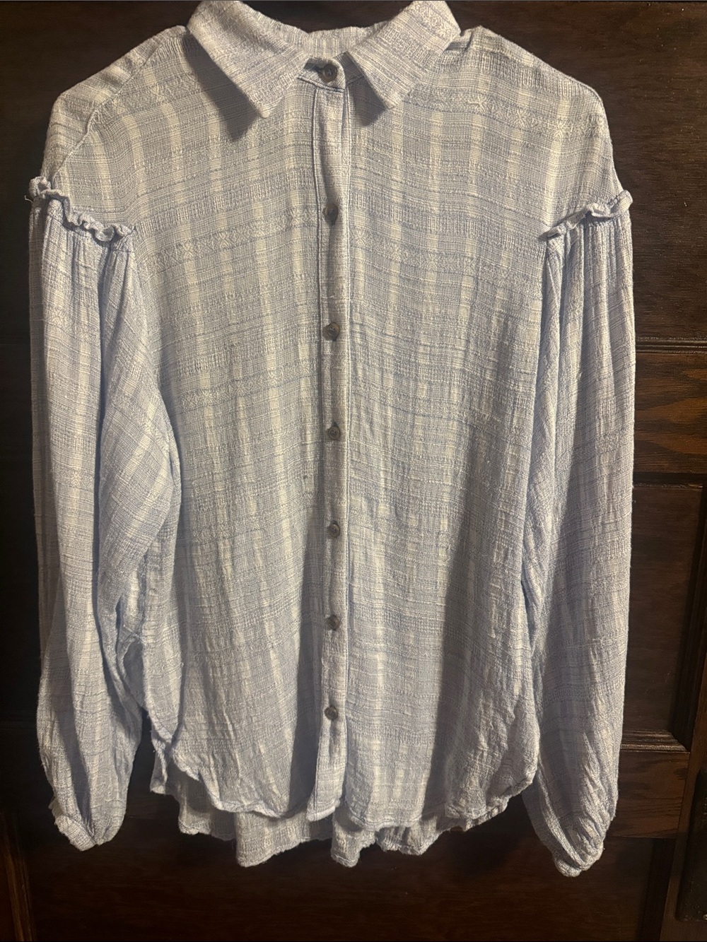 Free People Light Blue Textured Button-Down Shirt